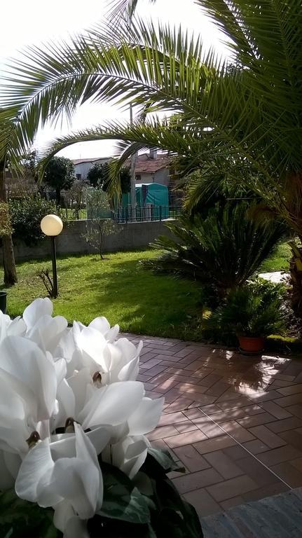 B&B La Cascina Concordia Sagittaria Exterior foto